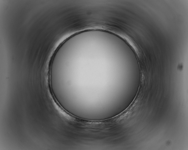 X0000100881143200806201141