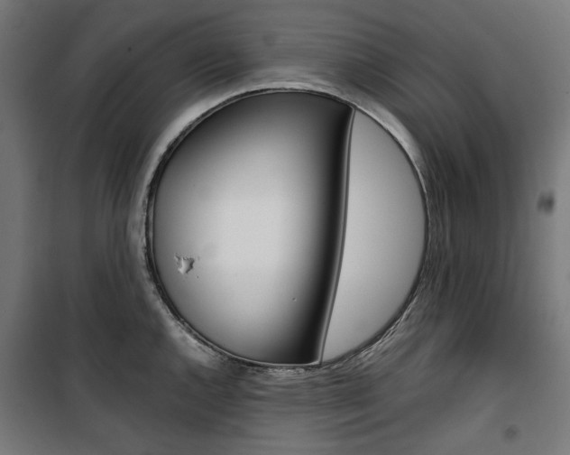 X0000100881144200806201141