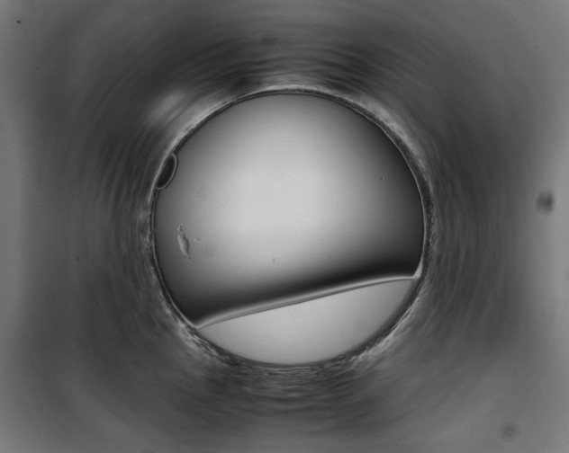 X0000100881145200806201141