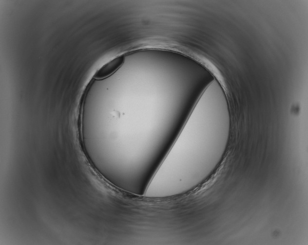 X0000100881146200806201141