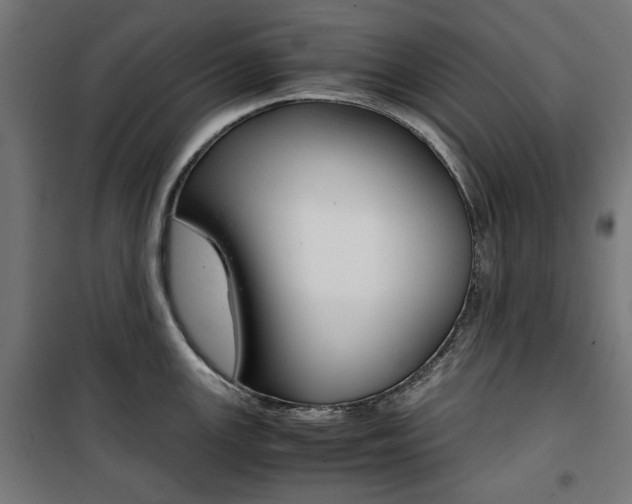 X0000100881147200806201141