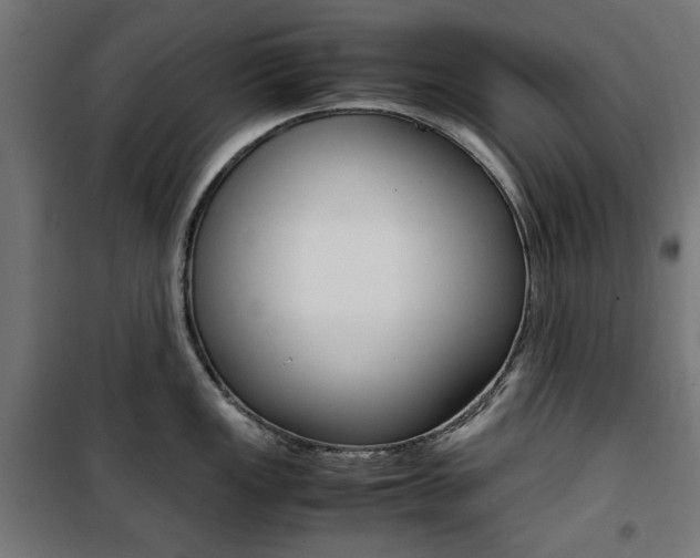 X0000100881149200806201141