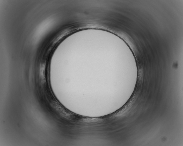 X0000100881150200806201141