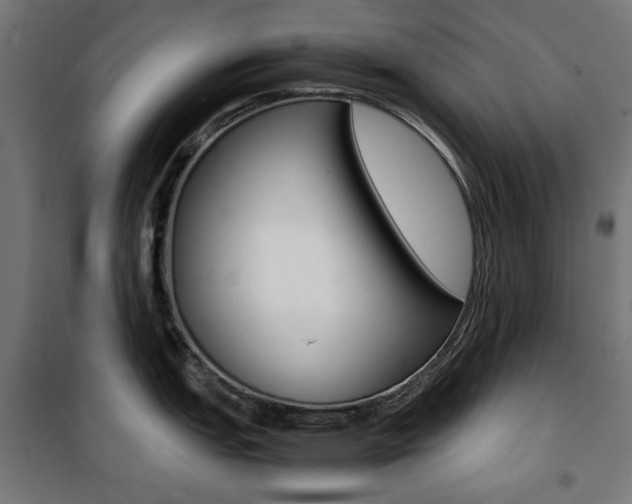 X0000100881151200806201141