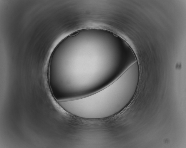 X0000100881152200806201141