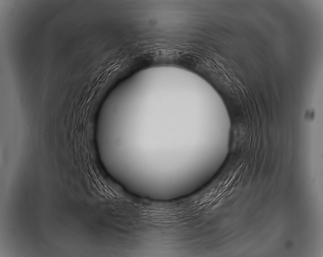 X0000100881153200806201140