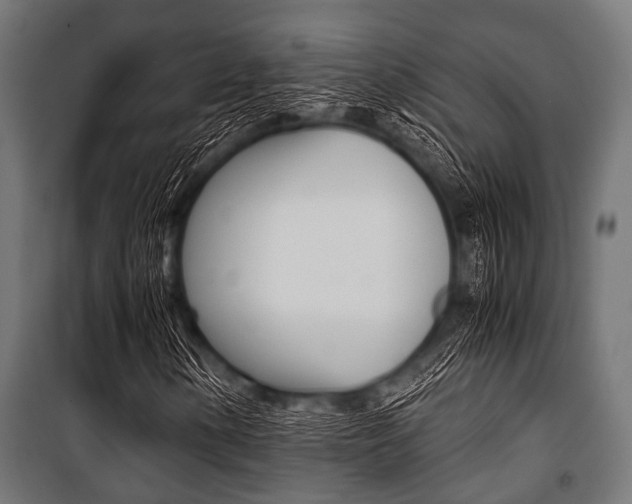 X0000100881154200806201140