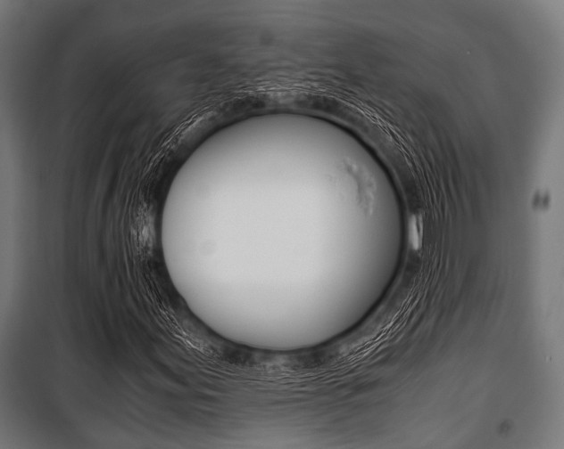 X0000100881155200806201140