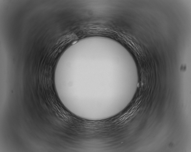 X0000100881156200806201140