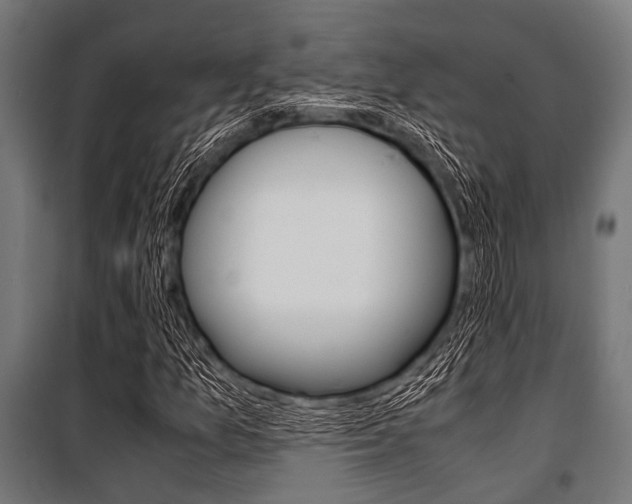 X0000100881157200806201140