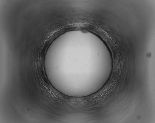 X0000100881158200806201140