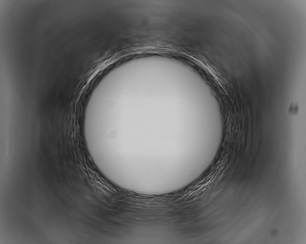 X0000100881160200806201140