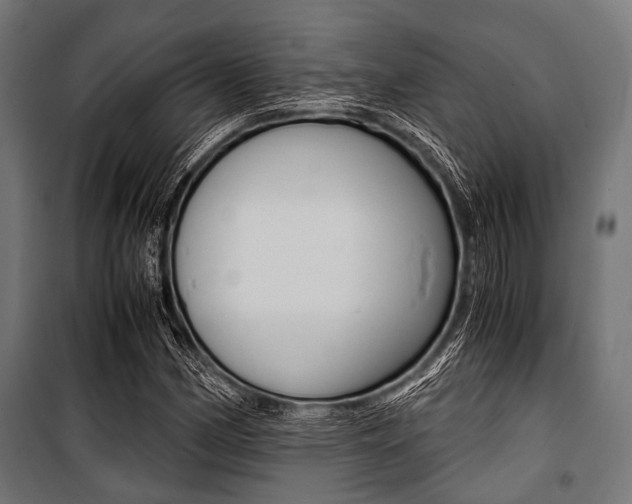 X0000100881162200806201140