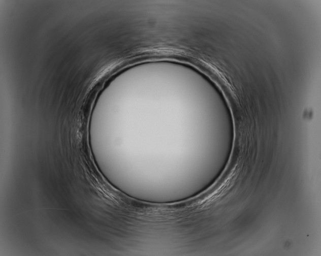 X0000100881163200806201140