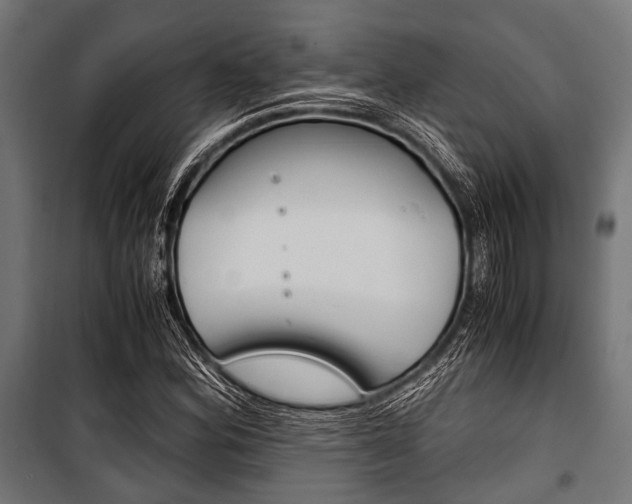 X0000100881164200806201140