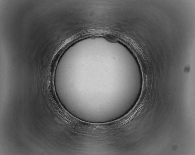 X0000100881165200806201140