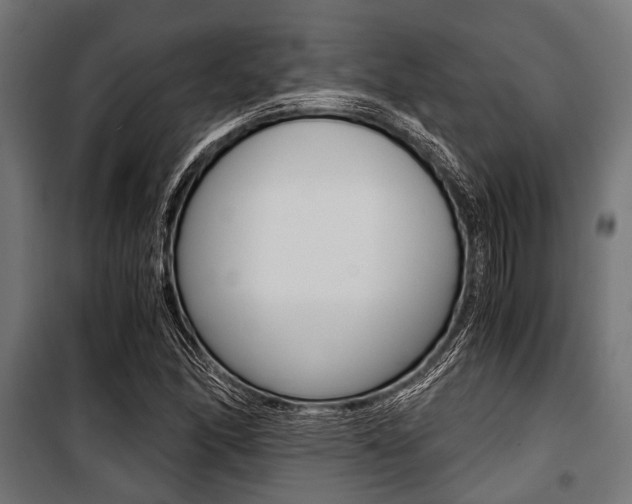 X0000100881166200806201140