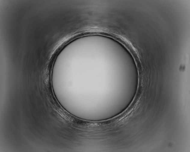 X0000100881167200806201140