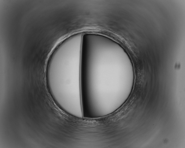 X0000100881168200806201140
