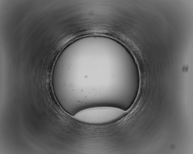 X0000100881169200806201140