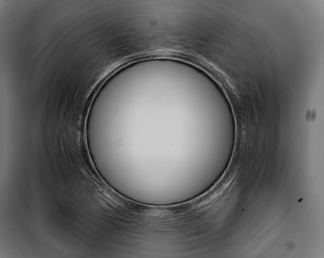 X0000100881170200806201140