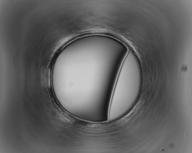 X0000100881171200806201140