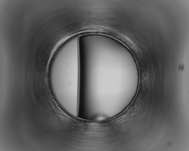X0000100881172200806201140