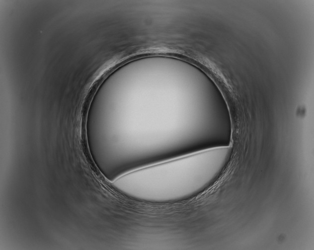 X0000100881173200806201140
