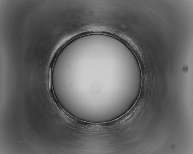 X0000100881175200806201140
