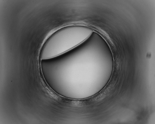 X0000100881176200806201140