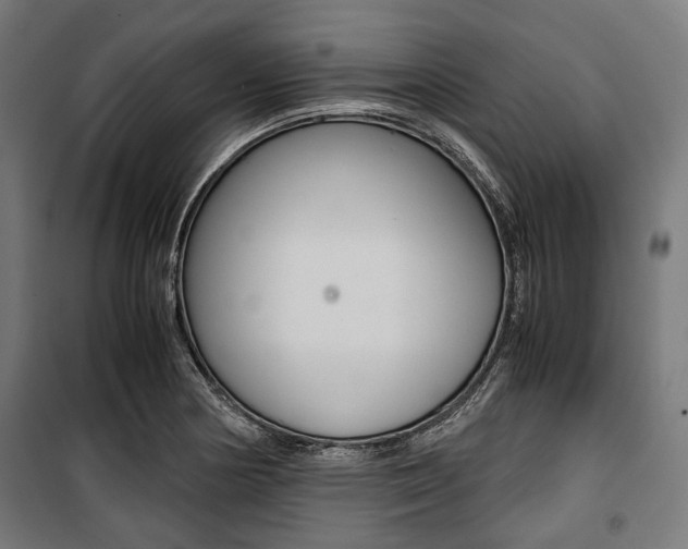 X0000100881178200806201140