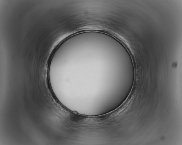 X0000100881179200806201140