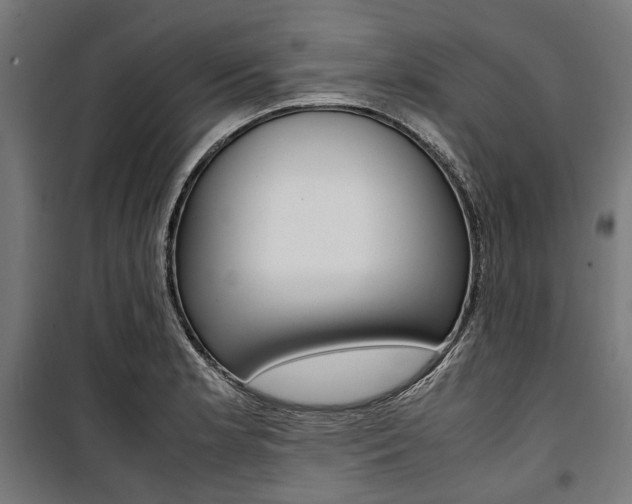 X0000100881181200806201140
