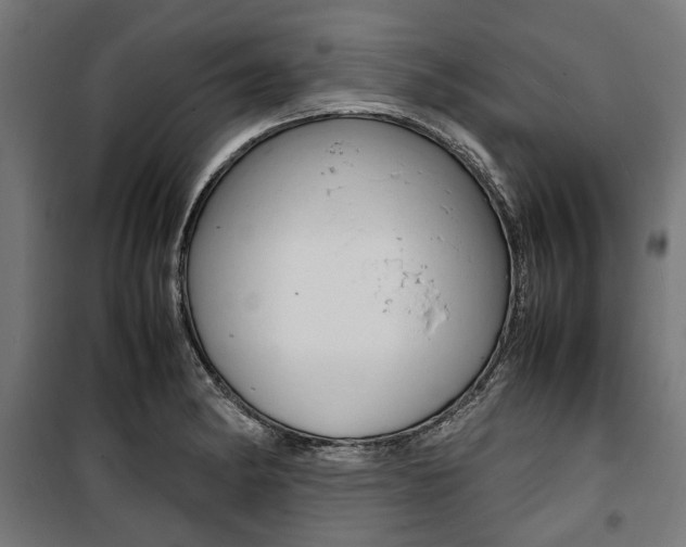 X0000100881182200806201140