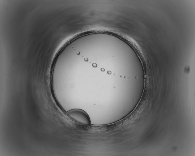 X0000100881183200806201140