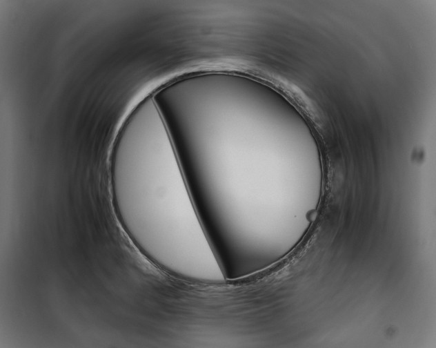X0000100881184200806201140