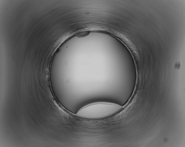 X0000100881185200806201140