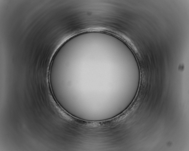 X0000100881186200806201140