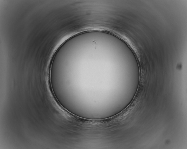 X0000100881187200806201140