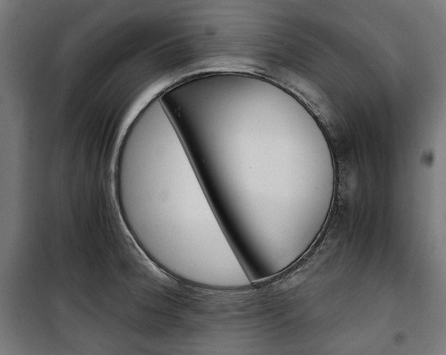 X0000100881188200806201140