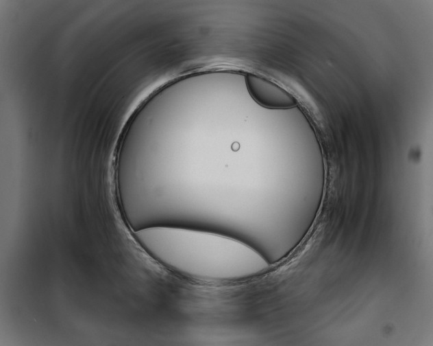 X0000100881190200806201140