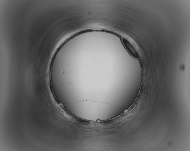 X0000100881191200806201140
