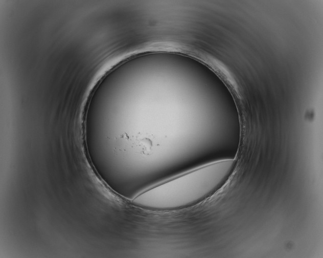 X0000100881192200806201140