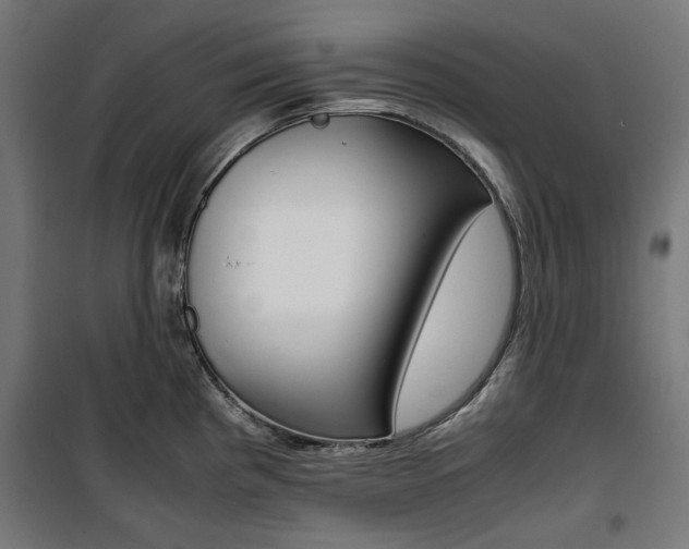 X0000100881193200806201140