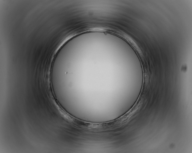 X0000100881194200806201140