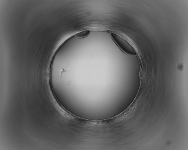 X0000100881195200806201139