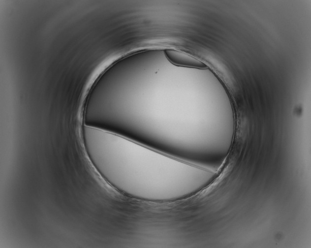 X0000100881196200806201139