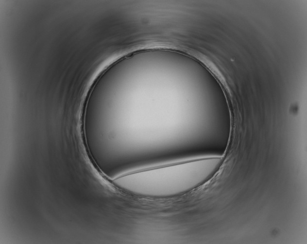 X0000100881197200806201139