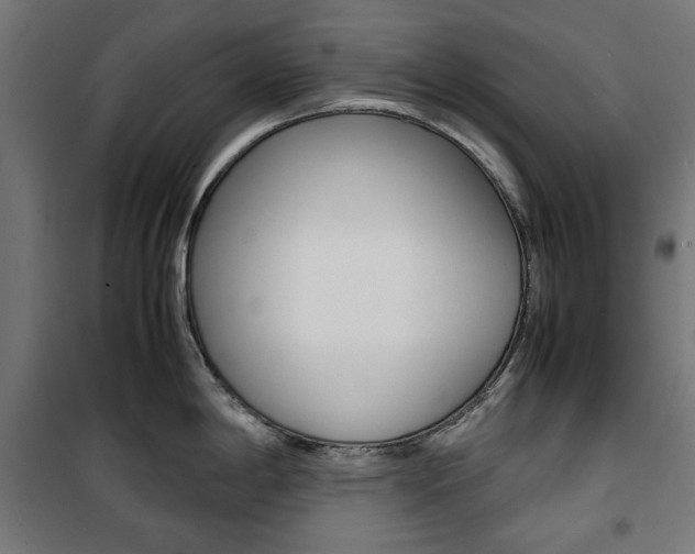 X0000100881198200806201139