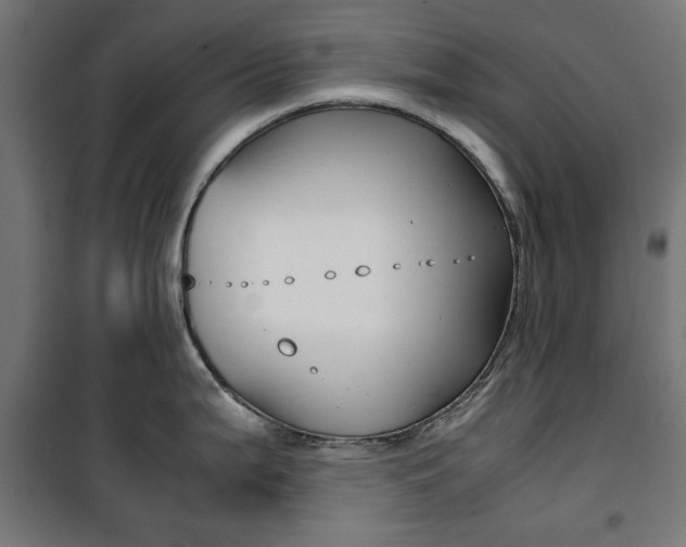 X0000100881199200806201139